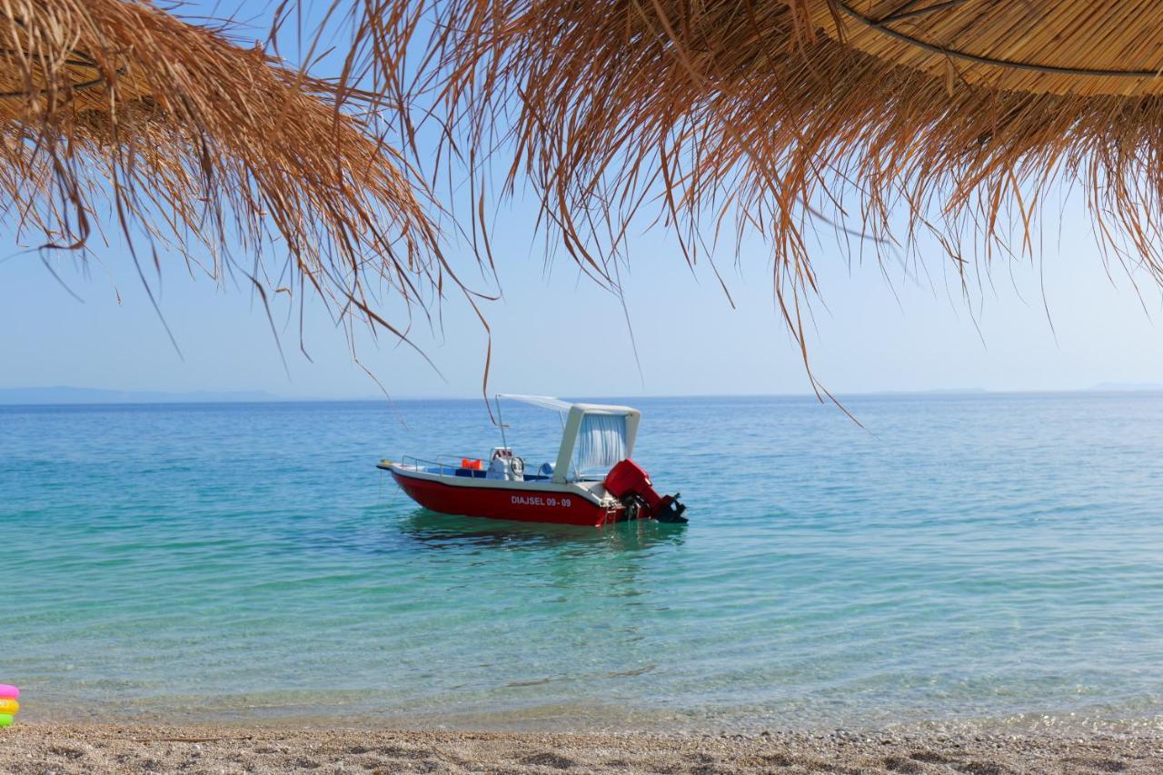 Vila Ari 보르쉬 외부 사진